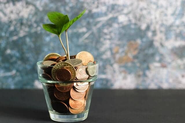 A plant in a pot full of coins that can be done for digital marketing and web design Philippines.